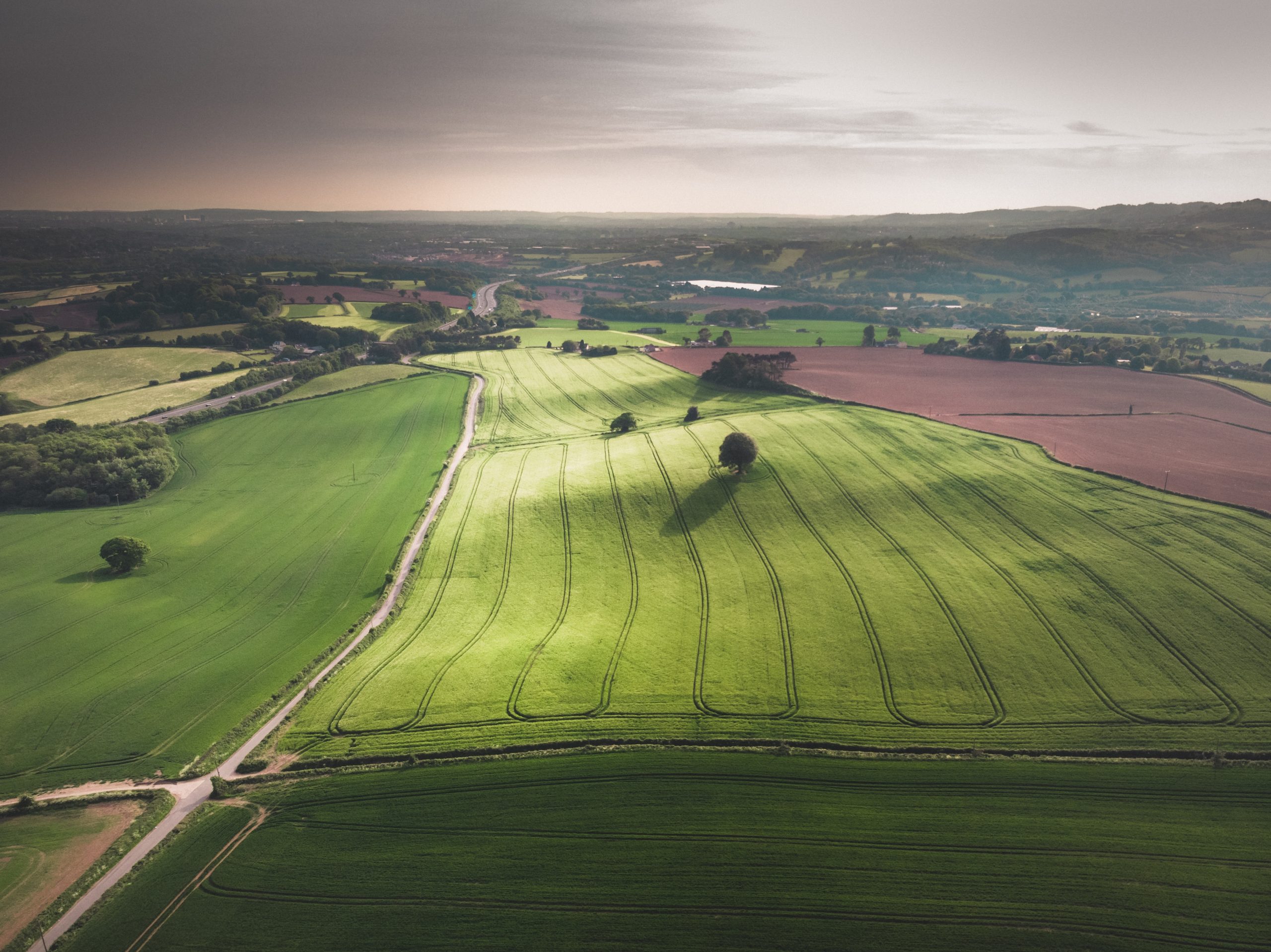 Farming Image 2