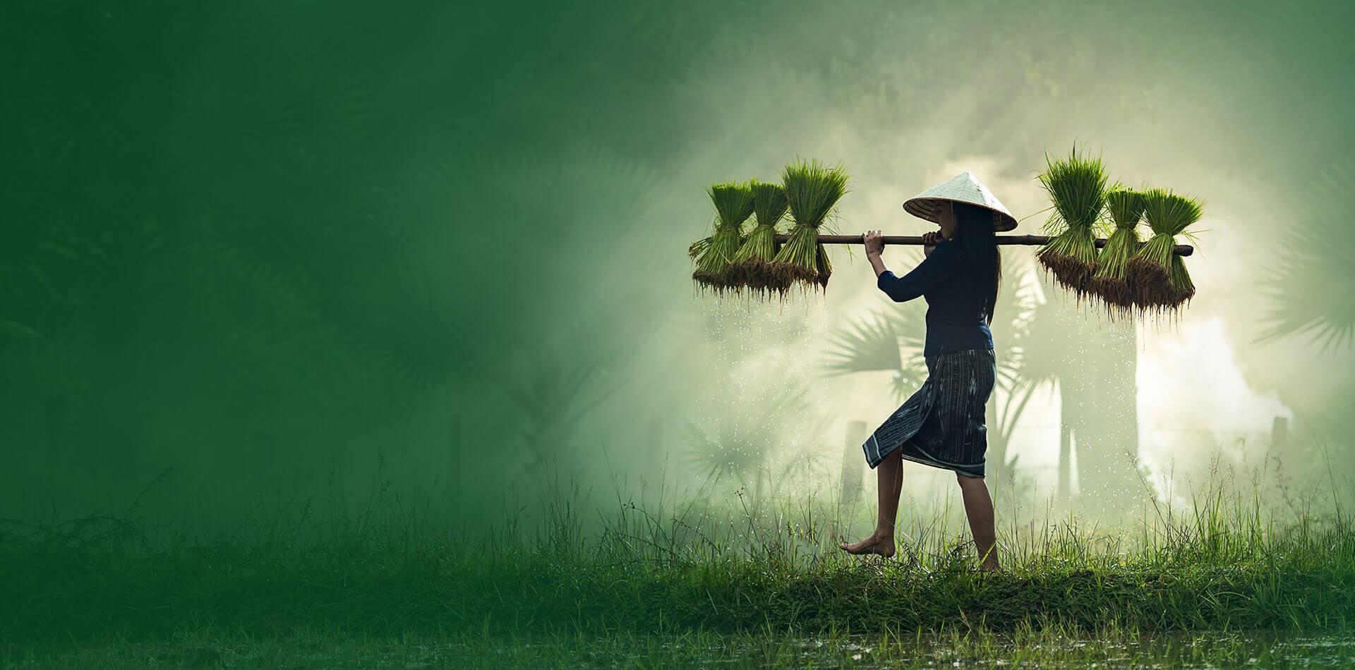 Farming Image 3