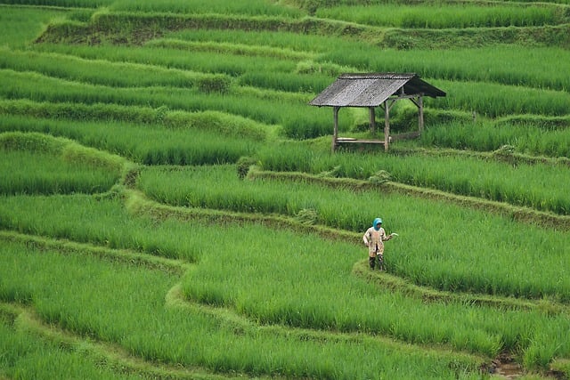 Farming Image 2