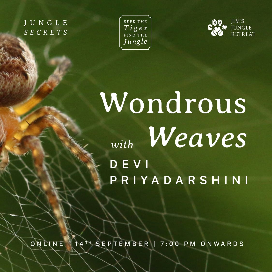 Wondrous Weaves