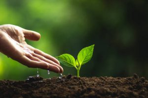 WATER CONSERVATION