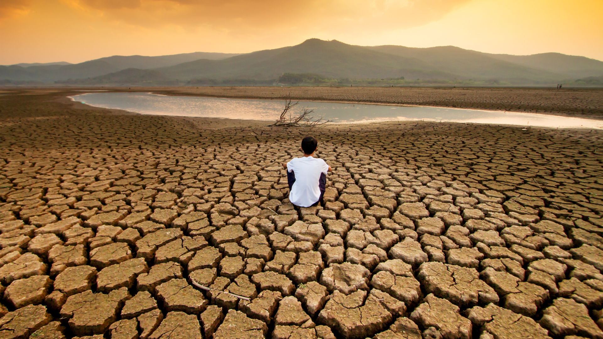 DISASTER RISK RESILIENCE