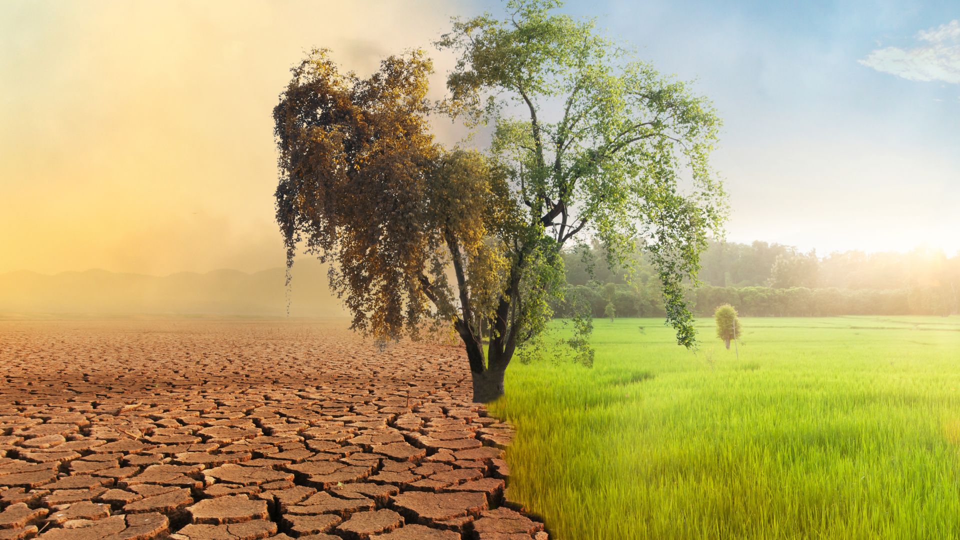 Climate-Change-Factsheet-1-min